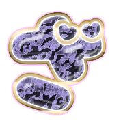 061