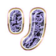 120