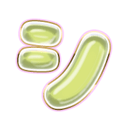 092