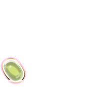 256