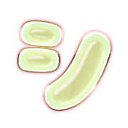 092