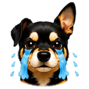 037