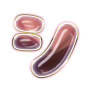 092