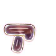 127