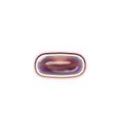 251