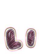 048