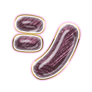 092