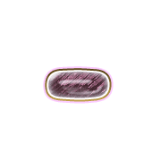 251