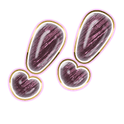 268