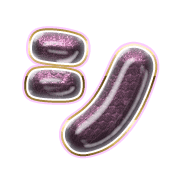 092