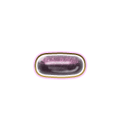 251