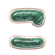 010