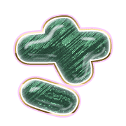 011