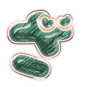 061