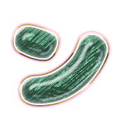 126
