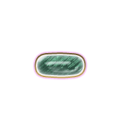 251
