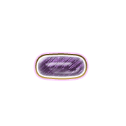 251