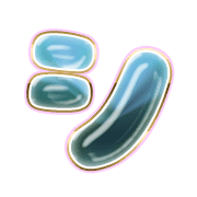 092