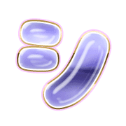 092