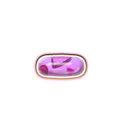 251