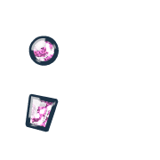243