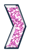 249