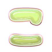 010