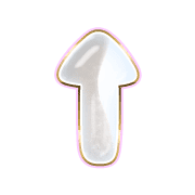260