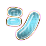 092
