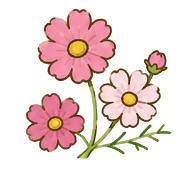 029