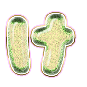 009