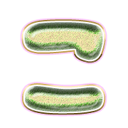010