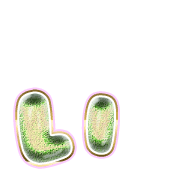 048