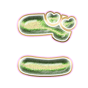 060