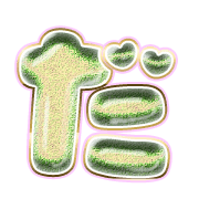 066