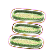 112