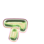 127