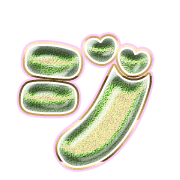 142