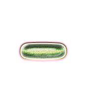 161