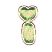 196