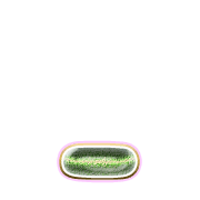 250