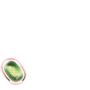 256