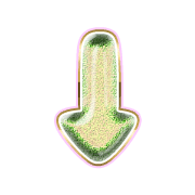 261