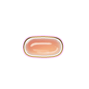 251