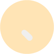 256