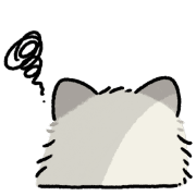 031