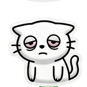 008