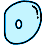 004