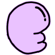 005