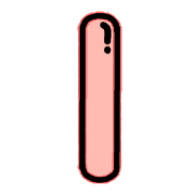 081